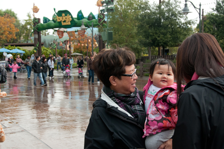 Bug's Land