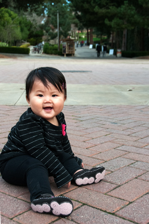 bruin walk