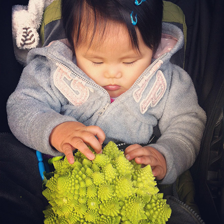 romanesco