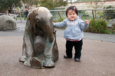 baby elephant