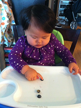 blueberries