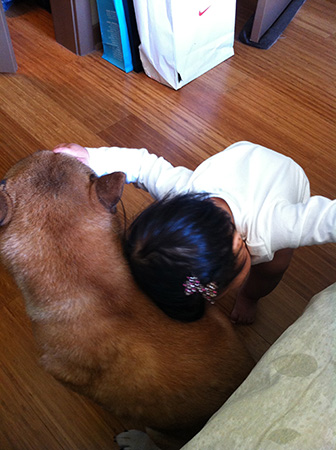 hug for koa