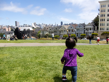 painted ladies