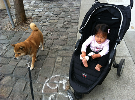 walk