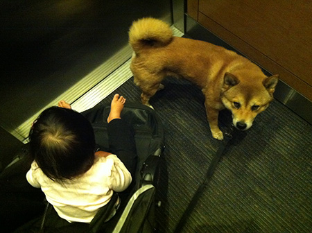elevator