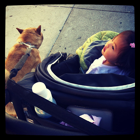 morning walk