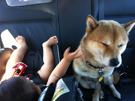 backseat