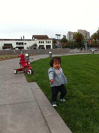 tricycle
